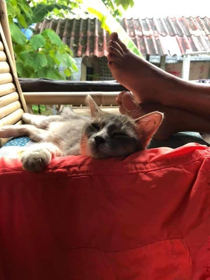 Angel Lanta Bungalow Koh Lanta Bagian luar foto
